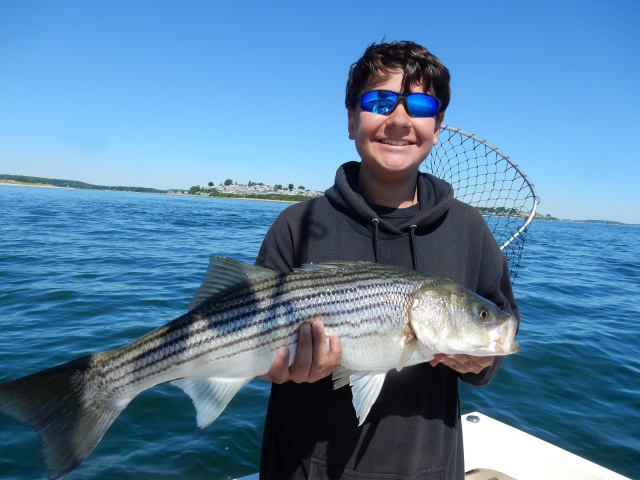 Connor's Plum Island striper